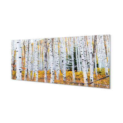 Acrylglasbilder Herbst birke