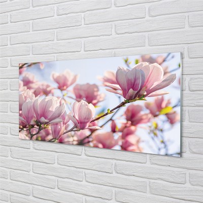 Acrylglasbilder Magnolie