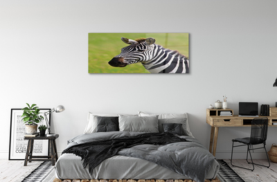 Acrylglasbilder Zebra