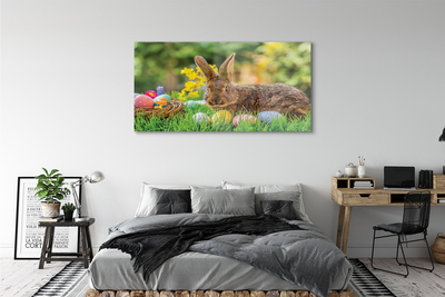 Acrylglasbilder Wiese rabbit eier