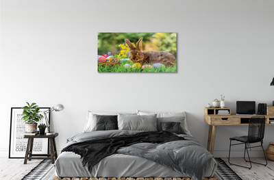 Acrylglasbilder Wiese rabbit eier