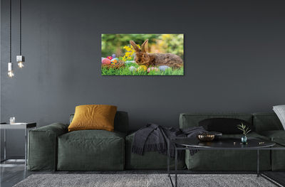 Acrylglasbilder Wiese rabbit eier