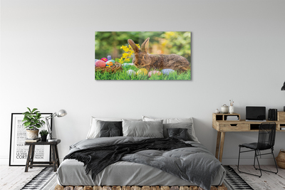 Acrylglasbilder Wiese rabbit eier