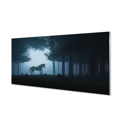 Acrylglasbilder Las einhorn nacht