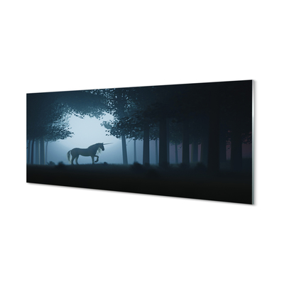 Acrylglasbilder Las einhorn nacht