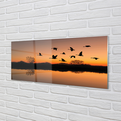 Acrylglasbilder Sonnenuntergang fliegende vögel