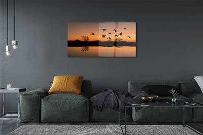 Acrylglasbilder Sonnenuntergang fliegende vögel