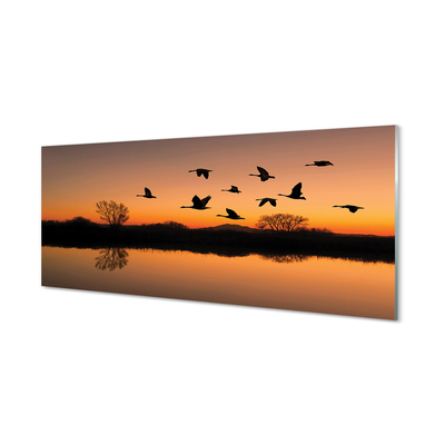 Acrylglasbilder Sonnenuntergang fliegende vögel