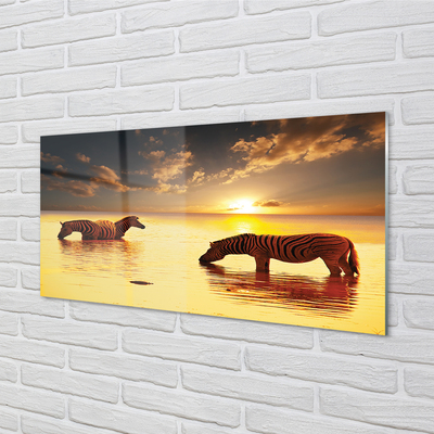 Acrylglasbilder Sonnenuntergang wasser zebras