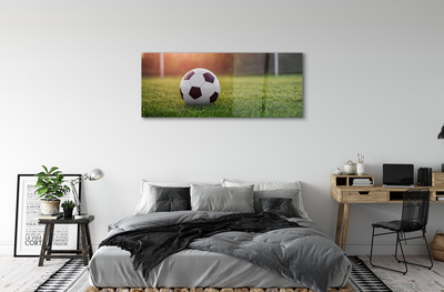 Acrylglasbilder Gras fußball-gateway