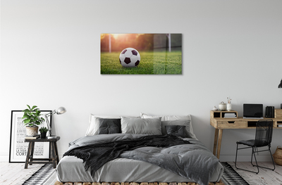 Acrylglasbilder Gras fußball-gateway