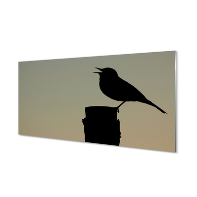 Acrylglasbilder Schwarzer vogel