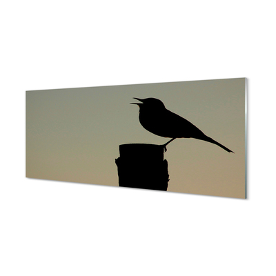 Acrylglasbilder Schwarzer vogel