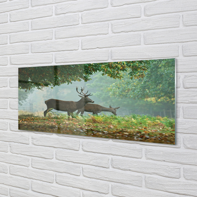 Acrylglasbilder Cerf herbstwald