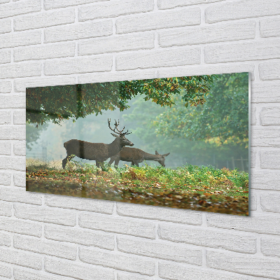 Acrylglasbilder Cerf herbstwald