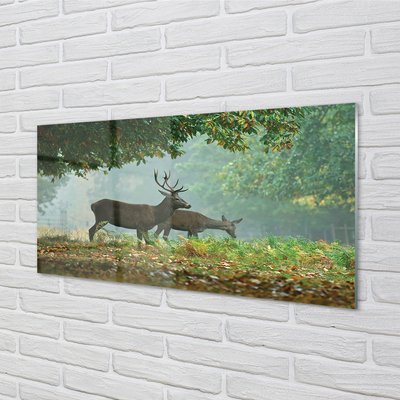 Acrylglasbilder Cerf herbstwald