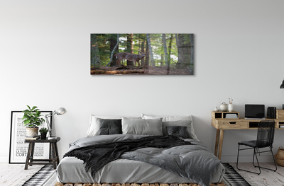 Acrylglasbilder Hirschwald