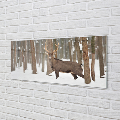 Acrylglasbilder Deer winterwald