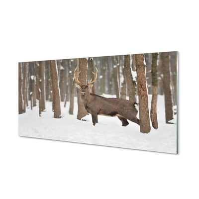 Acrylglasbilder Deer winterwald