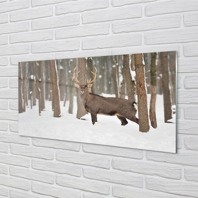 Acrylglasbilder Deer winterwald