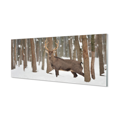 Acrylglasbilder Deer winterwald