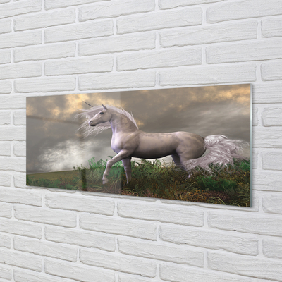 Acrylglasbilder Einhorn wolken