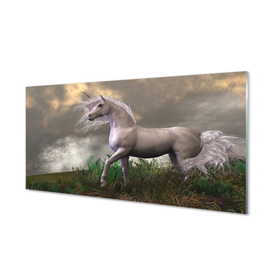 Acrylglasbilder Einhorn wolken