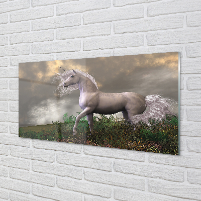 Acrylglasbilder Einhorn wolken