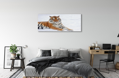 Acrylglasbilder Tiger winter