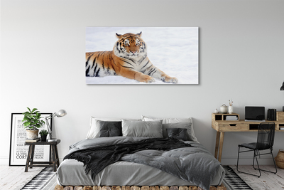 Acrylglasbilder Tiger winter