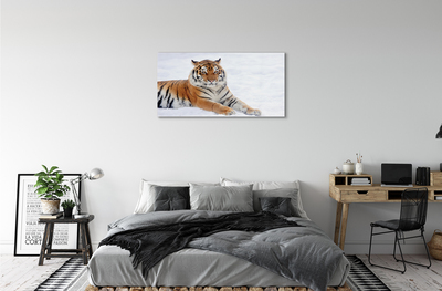 Acrylglasbilder Tiger winter