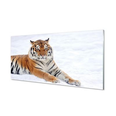 Acrylglasbilder Tiger winter