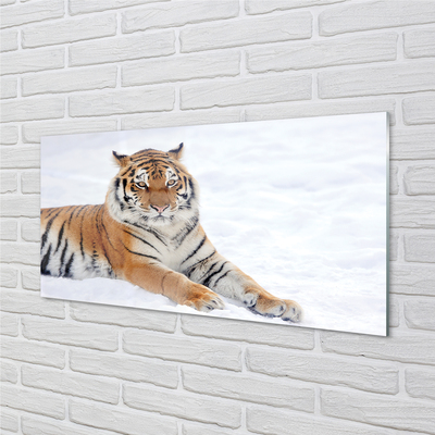 Acrylglasbilder Tiger winter