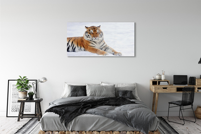 Acrylglasbilder Tiger winter