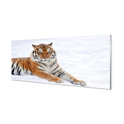 Acrylglasbilder Tiger winter