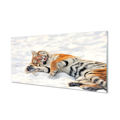 Acrylglasbilder Tiger winter