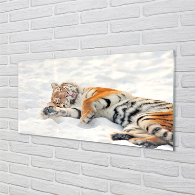 Acrylglasbilder Tiger winter