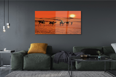 Acrylglasbilder Kamele himmel sonne wüste menschen