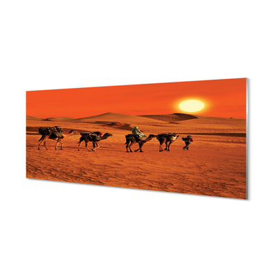 Acrylglasbilder Kamele himmel sonne wüste menschen
