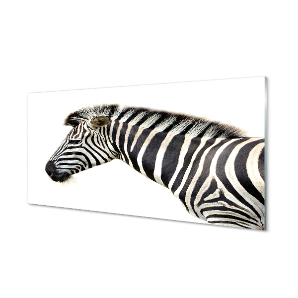 Acrylglasbilder Zebra