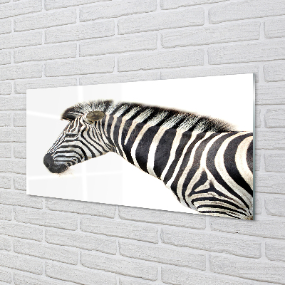 Acrylglasbilder Zebra