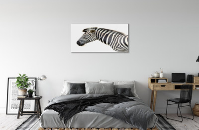 Acrylglasbilder Zebra