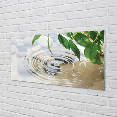 Acrylglasbilder Splash tropfen