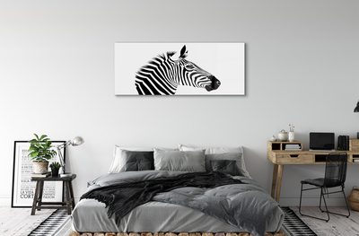 Acrylglasbilder Illustration von zebra