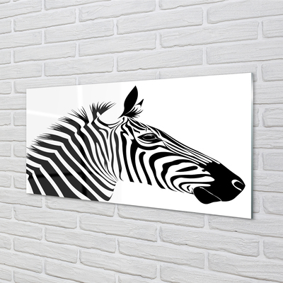 Acrylglasbilder Illustration von zebra