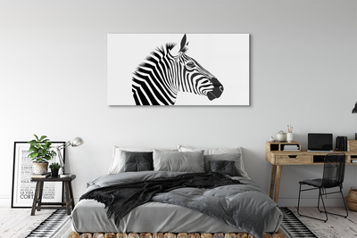 Acrylglasbilder Illustration von zebra