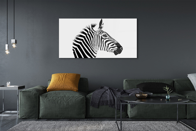 Acrylglasbilder Illustration von zebra