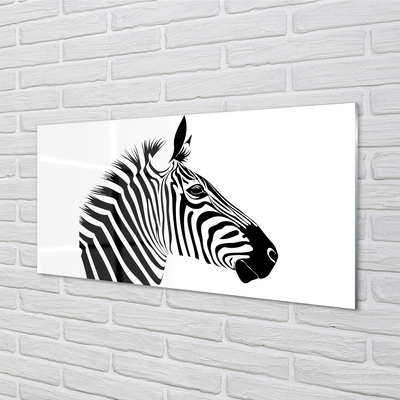 Acrylglasbilder Illustration von zebra