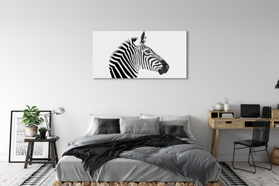 Acrylglasbilder Illustration von zebra