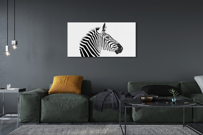 Acrylglasbilder Illustration von zebra